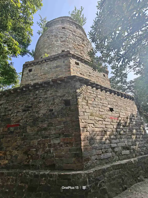 2.普什么塔.webp