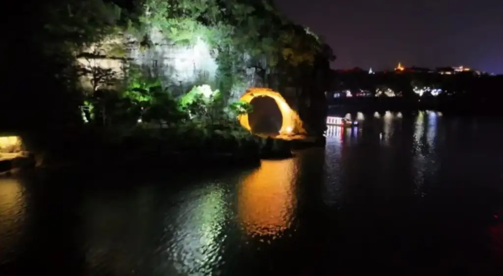 夜拍象鼻.webp